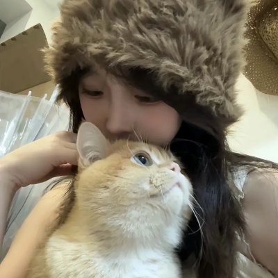 龙之家族